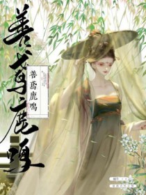 善鸢鹿鸣小说免费