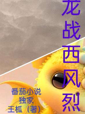 龙战骑士周杰伦