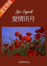 爱情最美丽